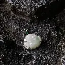 IaPjx-7gRfSDBDbWjz00A0seRoRGZKJu2cEPRvqIEaJ=smd.webp