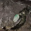 NlSgEojTyPweZABlodLQu11bxlq9lHgyTZ1ErrfBex-=smd.webp