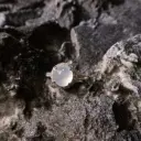 白冰圓蛋面設計款戒指