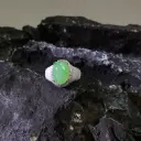 甜陽綠飄金絲綠隋圓蛋面 [緬旬]
